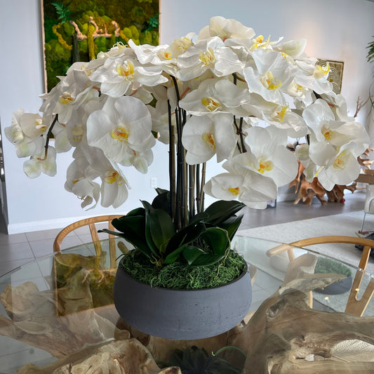Faux White Orchid Flower Composition in Ceramic Vase and Natural Moss