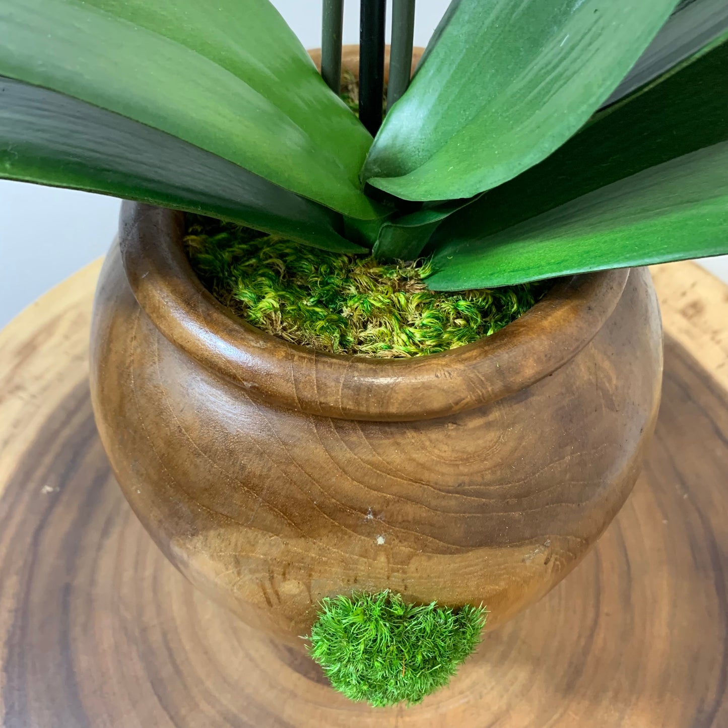 Artificial Large Orchid Flower Composition in Teak Wood and Natural Moss