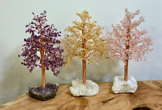 Crystal Bonsai Money Trees 13 Inch