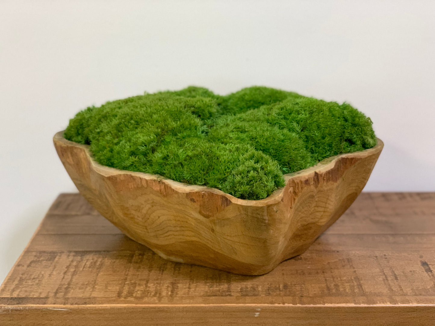 Moss Displayed on Wood Abstrac t(Made to Order)