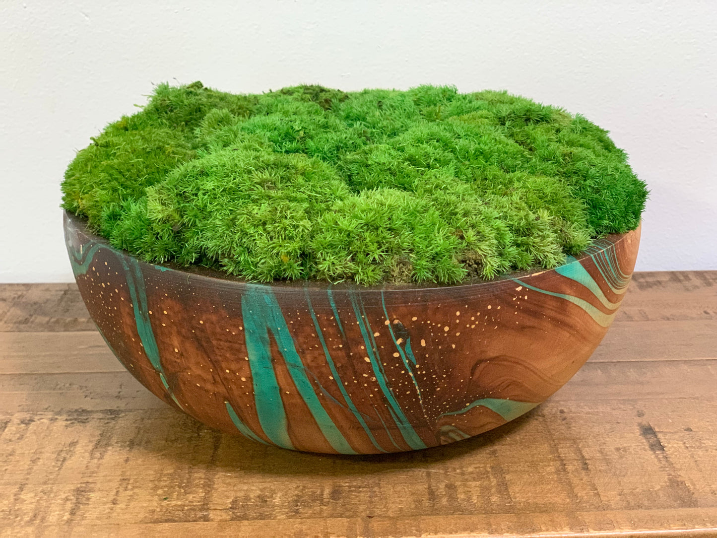 Moss Displayed on Multicolored Wood ROUND