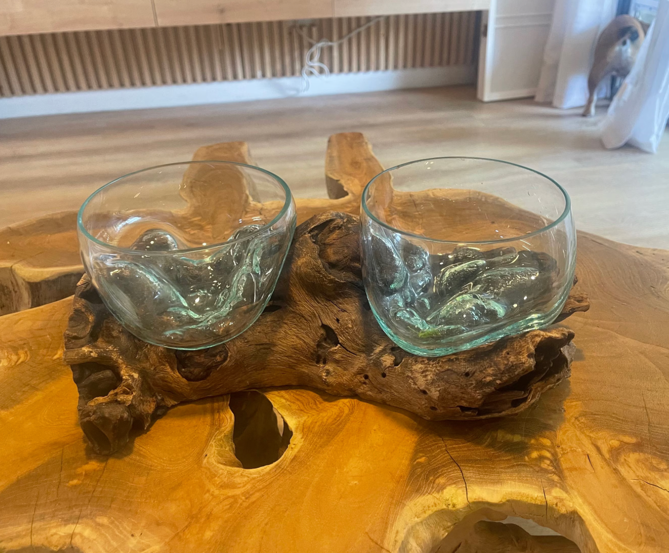 Double Molten Glass on Driftwood Terrarium