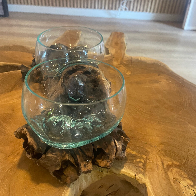 Double Molten Glass on Driftwood Terrarium