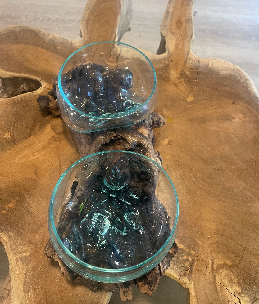 Double Molten Glass on Driftwood Terrarium