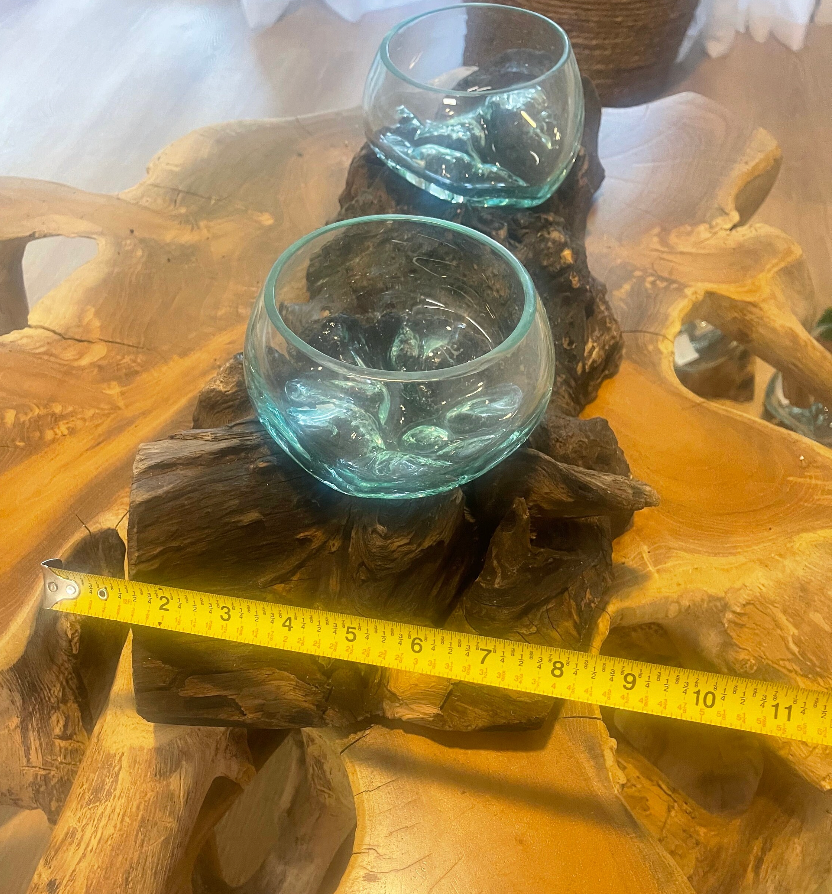 Large Double Molten Glass on Driftwood Terrarium