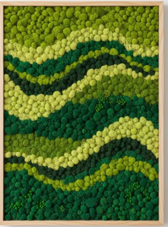 Custom Moss Art 8x10  Maltz Jupiter Theatre