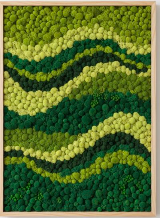 Custom Moss Art 8x10  Maltz Jupiter Theatre
