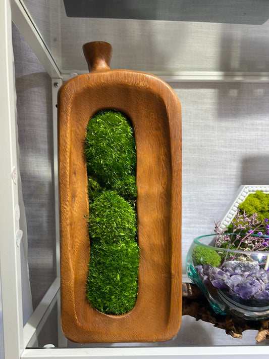 Moss Displayed Wood Vase