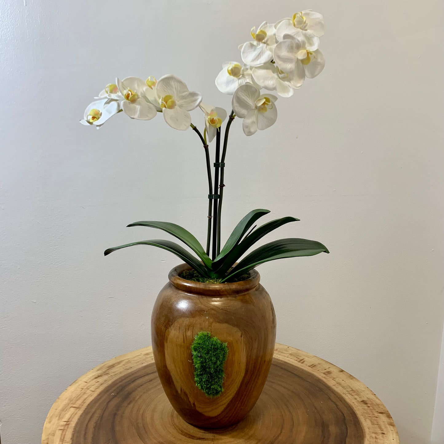 Artificial Large Orchid Flower Composition in Teak Wood and Natural Moss