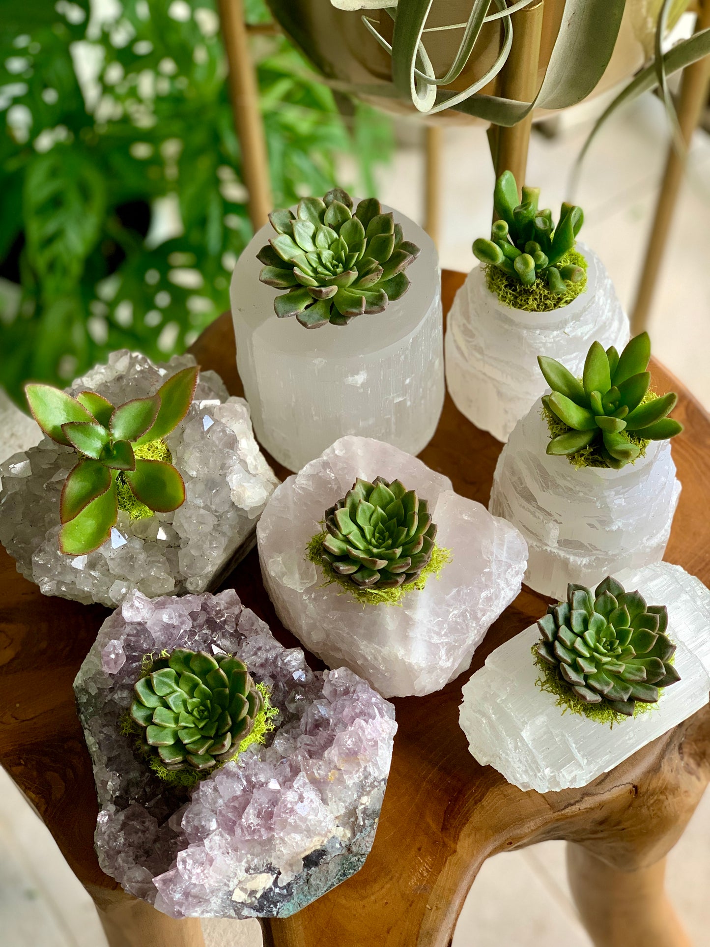 Crystal Paradise With Succulents (This is a custom piece ordered to make)