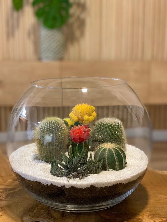 Cacti Terrarium (This is a custom piece ordered to make)