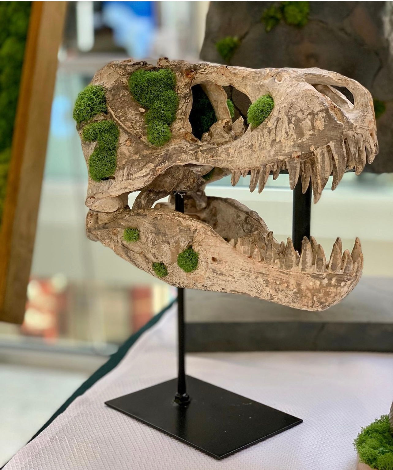 T- Rex Dinosaur with Preserved Moss